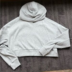 ALO Yoga Light Gray Ribbed Hoodie